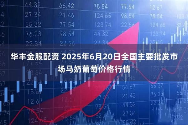 华丰金服配资 2025年6月20日全国主要批发市场马奶葡萄价格行情