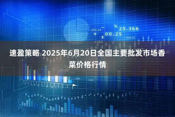 速盈策略 2025年6月20日全国主要批发市场香菜价格行情
